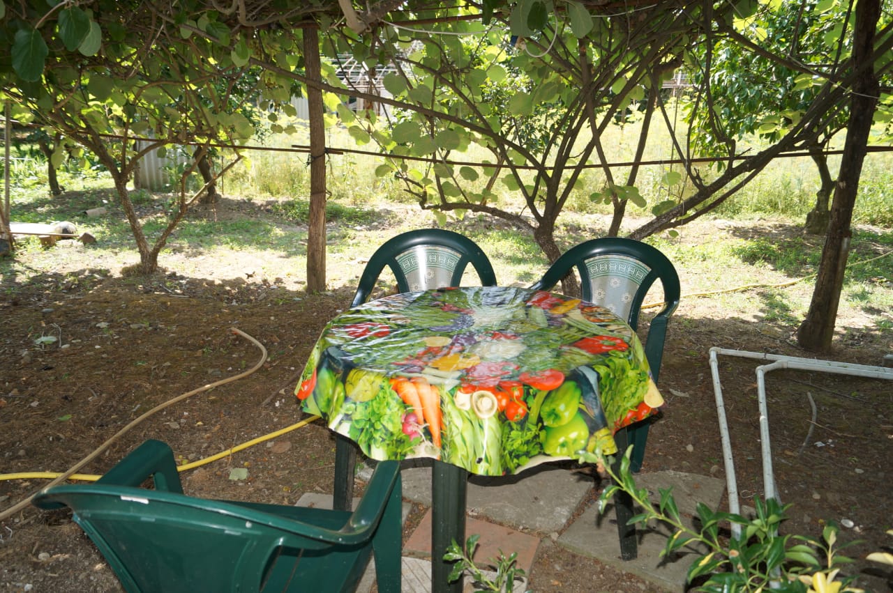 . Гостевой дом  Шаумяна 13 - Пицунда. Пицунда