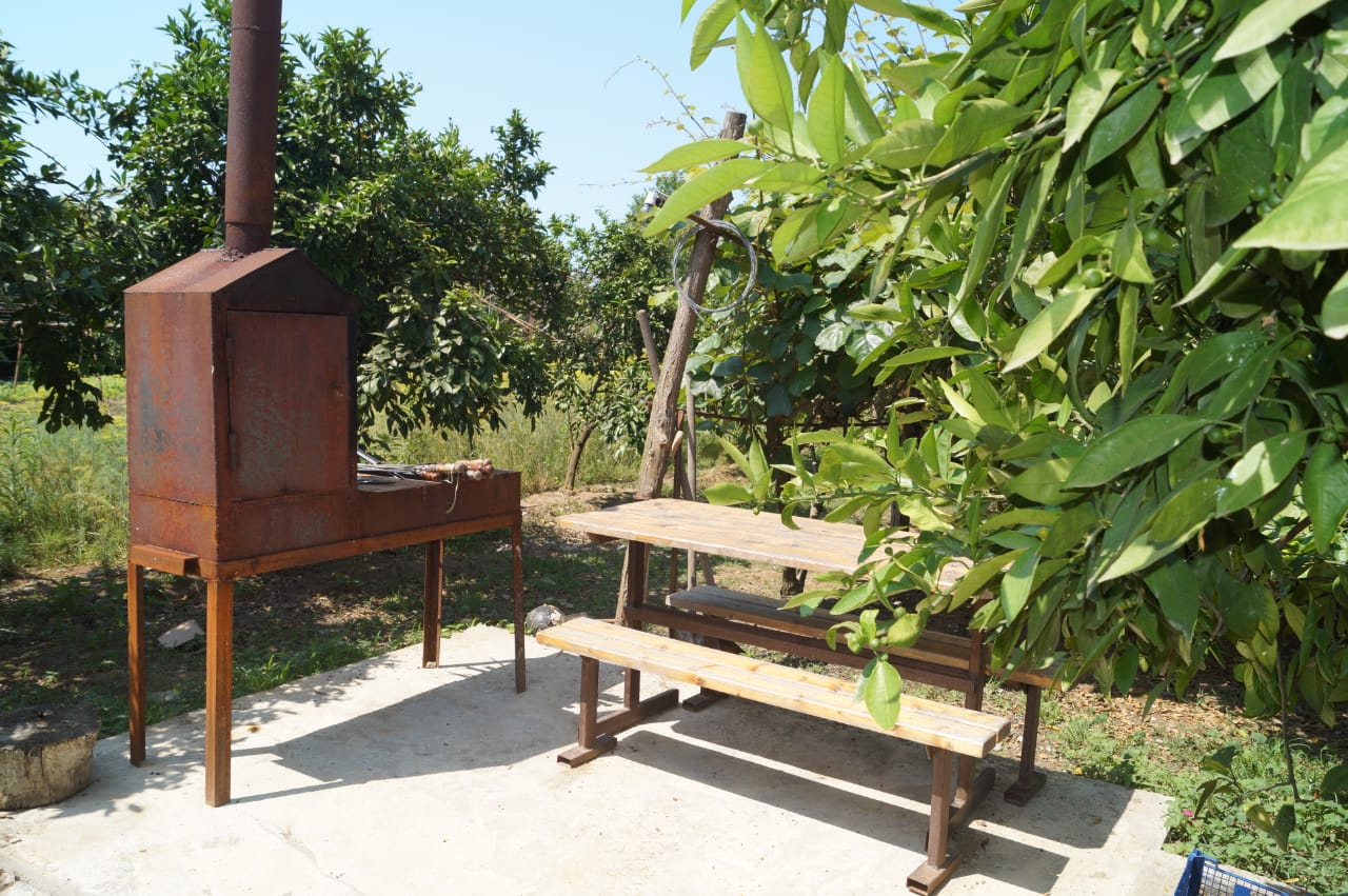 . Гостевой дом  Шаумяна 13 - Пицунда. Пицунда