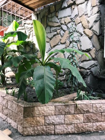 . Гостевой дом На Кадошской. Туапсе