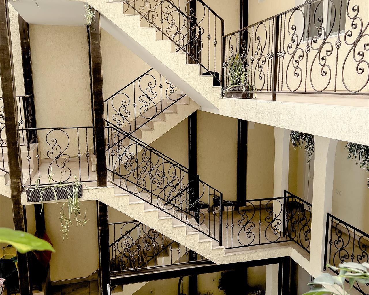 . Отель "VIVA Лариса". Адлер