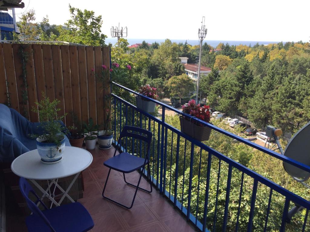 . Гостевой дом "Наутилус" - Ольгинка. Ольгинка