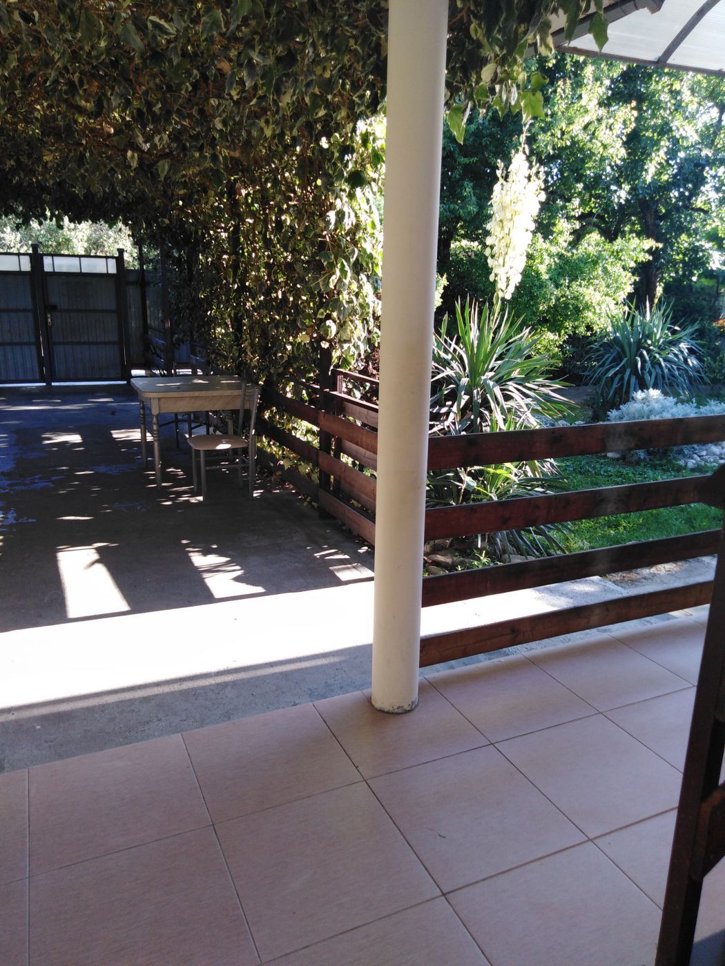 . Гостевой дом "Елена" - Цандрипш. Цандрипш