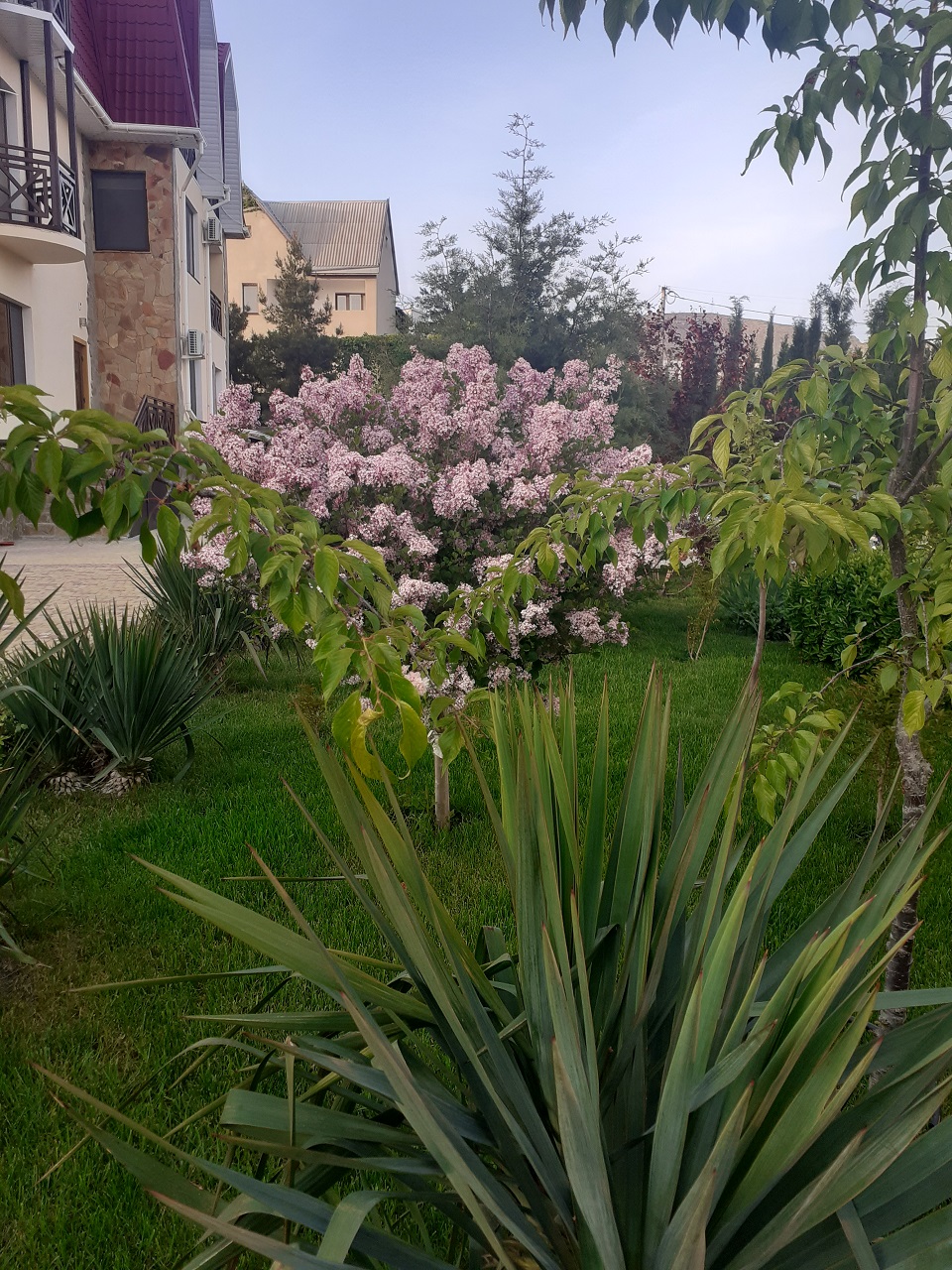 . Гостевой дом Sineva Del Sol. Судак