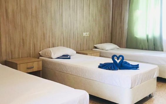 Эконом 2-х местный. База отдыха  "Ручеек"     . Джубга