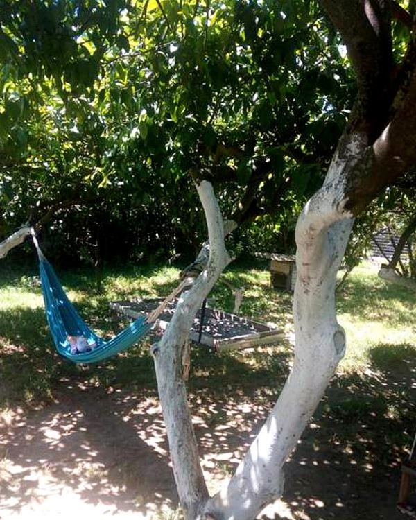 . Гостевой дом "Инь-Янь". Пицунда