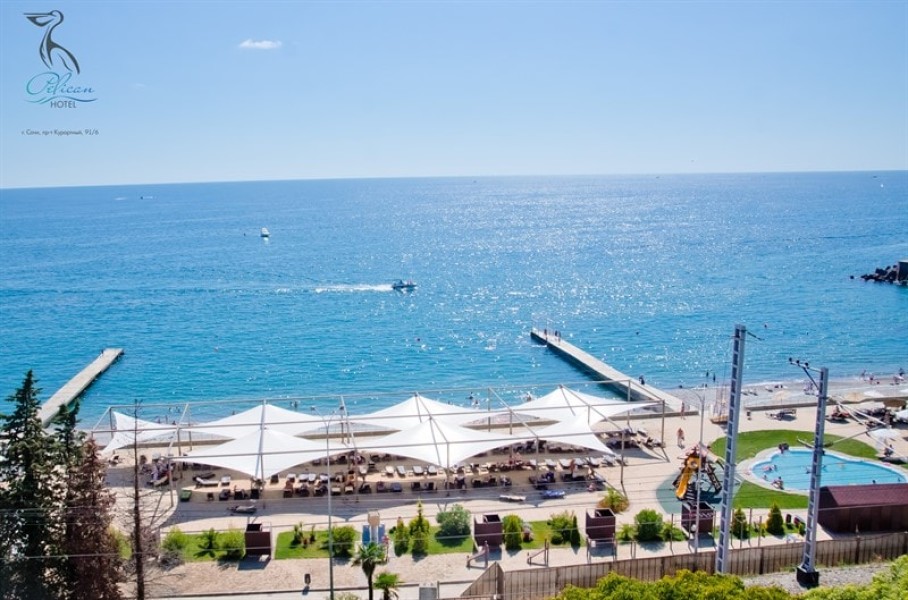 Люкс. Гостиница "Пеликан". Сочи