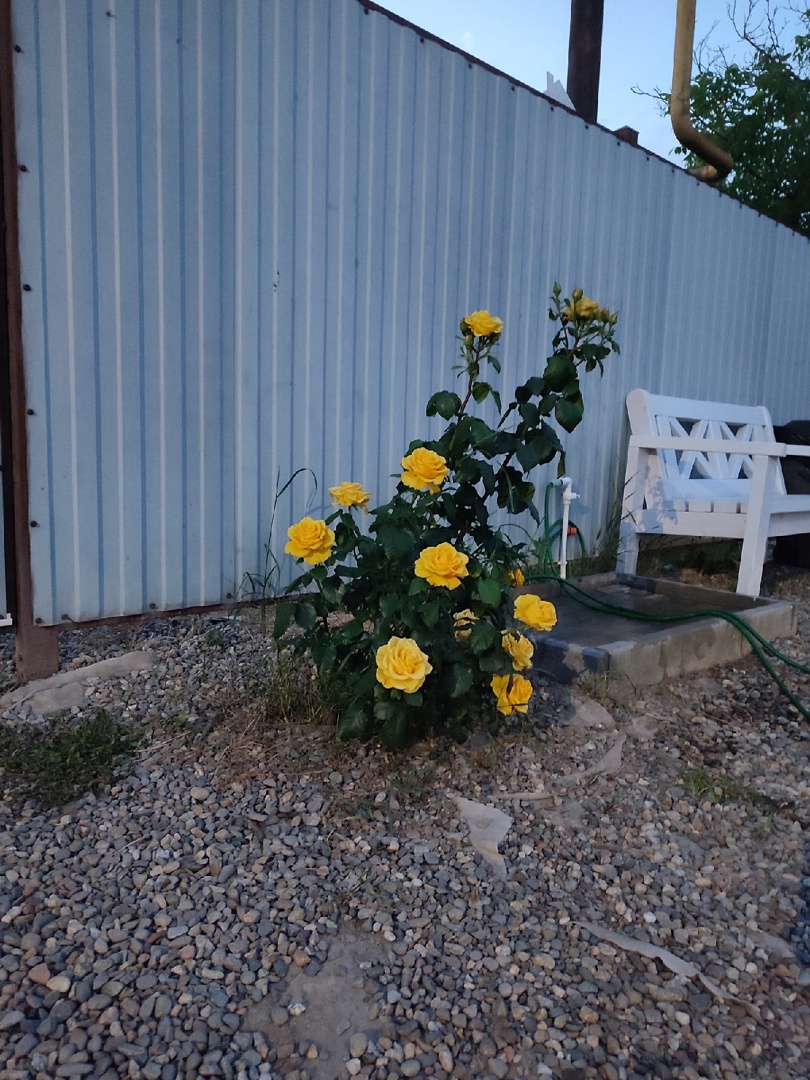 . Гостевой дом Вояж. Кучугуры