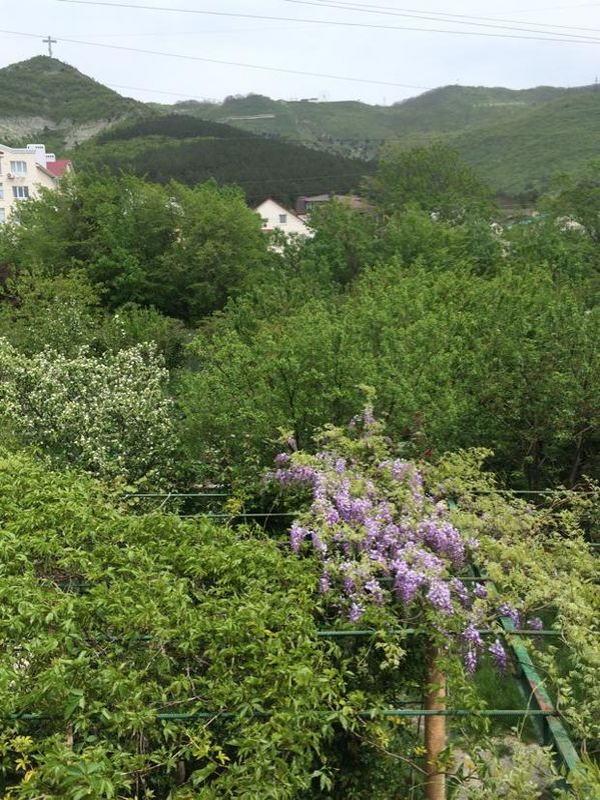 . Гостевой дом "У Боцмана". Геленджик