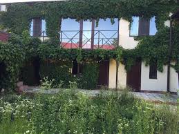 . Гостевой дом Тихий дворик - Туапсе. Туапсе