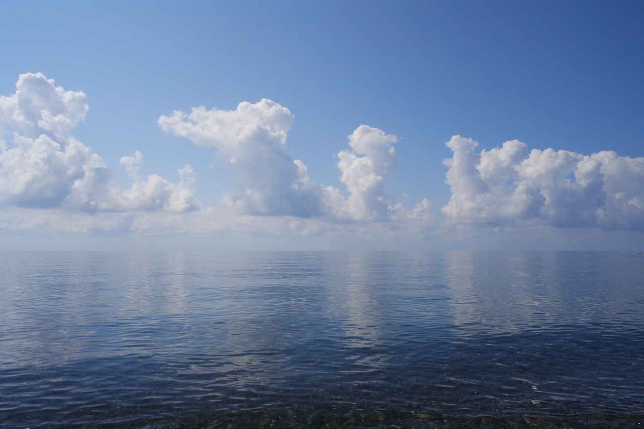 . Гостевой дом Усадьба в Зеленогорье. Зеленогорье