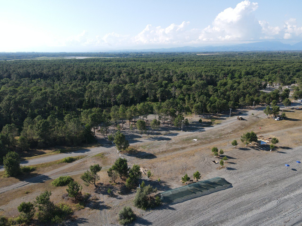 . База отдыха Сосновый бор. Сухум