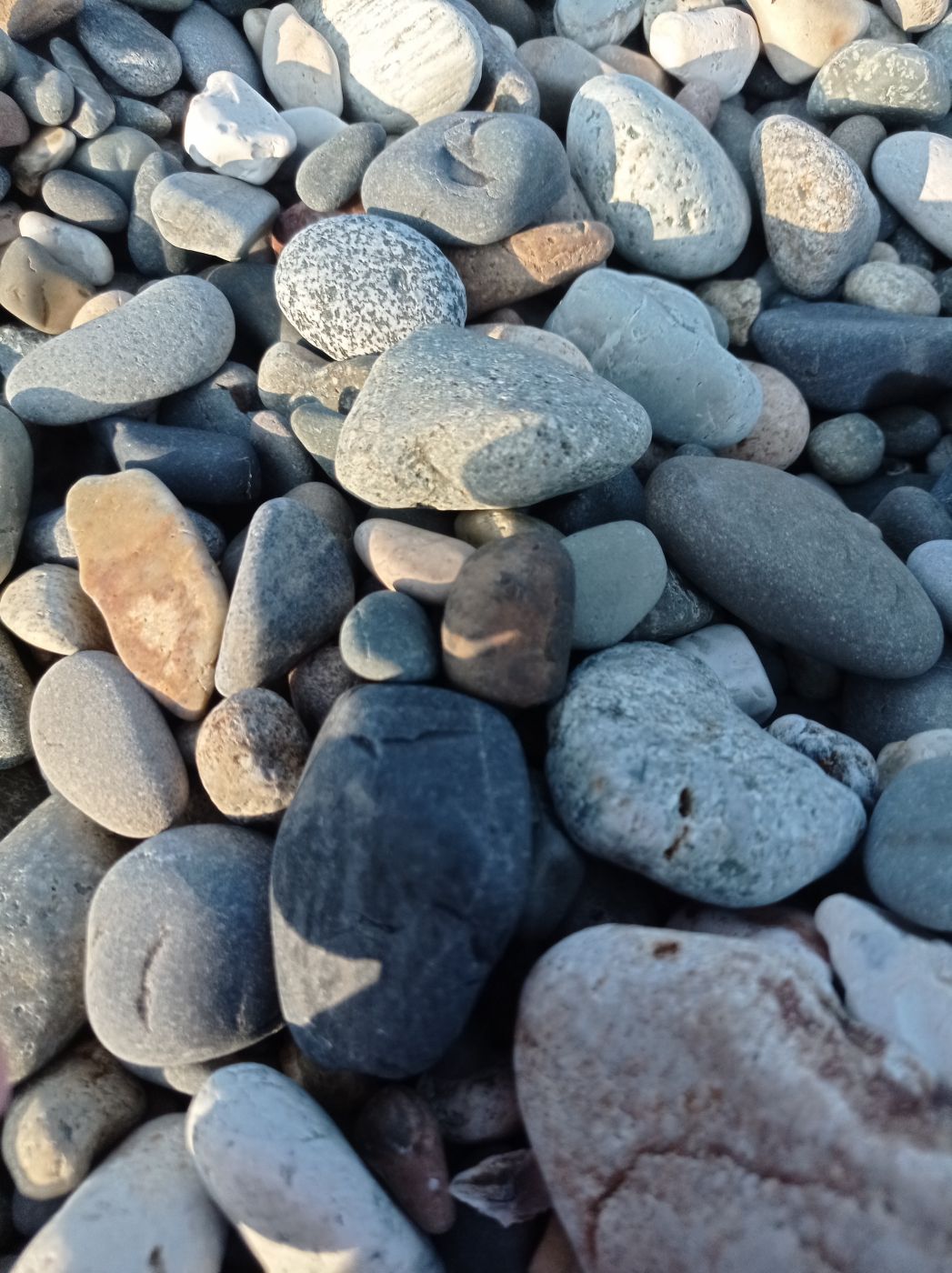 . Дом под ключ Дом Дельфин. Сухум