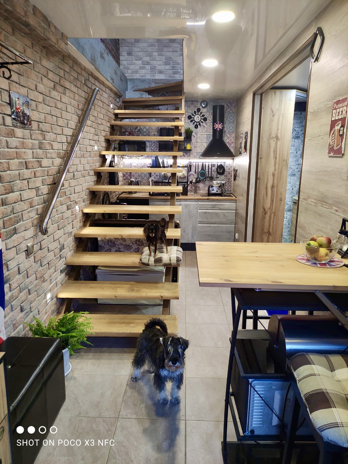 . Квартира в многоквартирном доме на земле в пгт Коктебеле недалеко от моря (700 м), с кондиционером. Коктебель