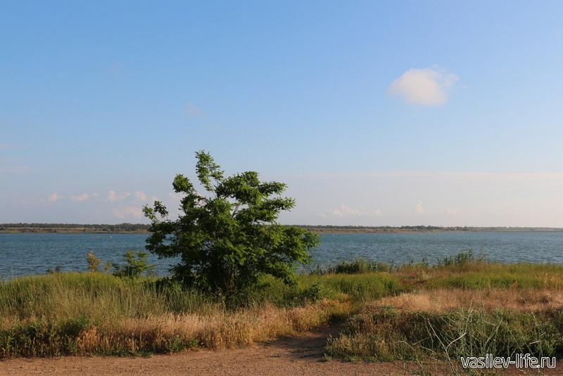 Михайловское озеро. Фото взято с сайта: https://vasilev-life.ru/