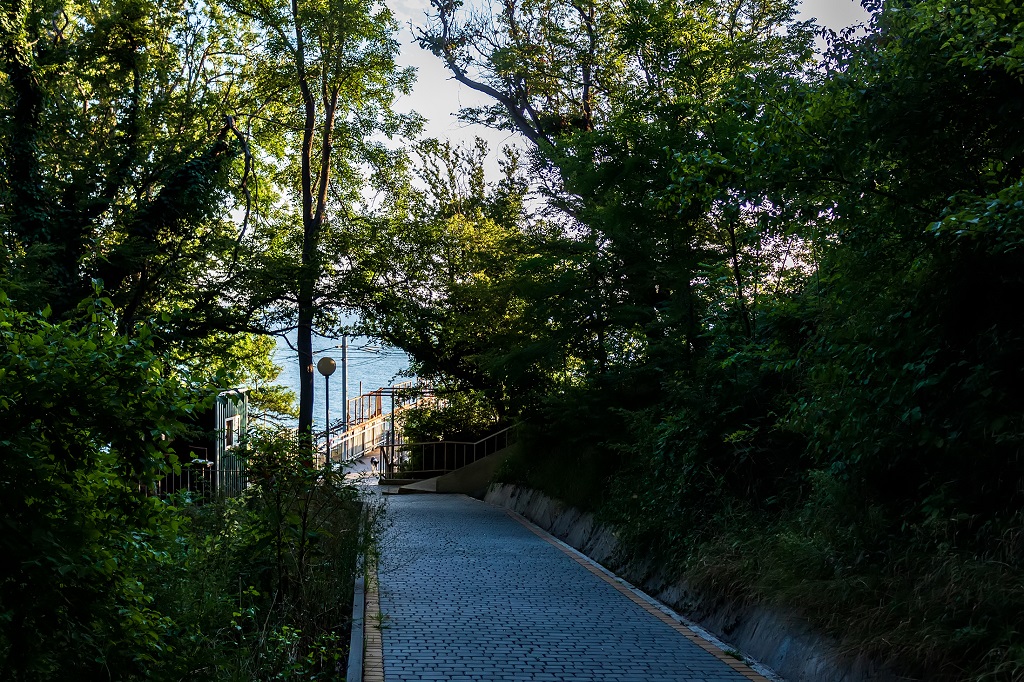 . Пансионат "Шеспи". Шепси