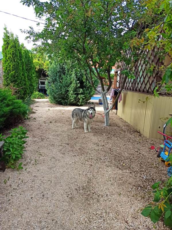 . Гостевой дом "Семья" - Должанская. Должанская