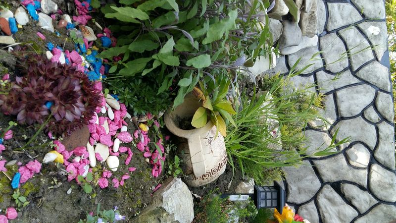 . Гостевой дом "Солнечная дача". Агой