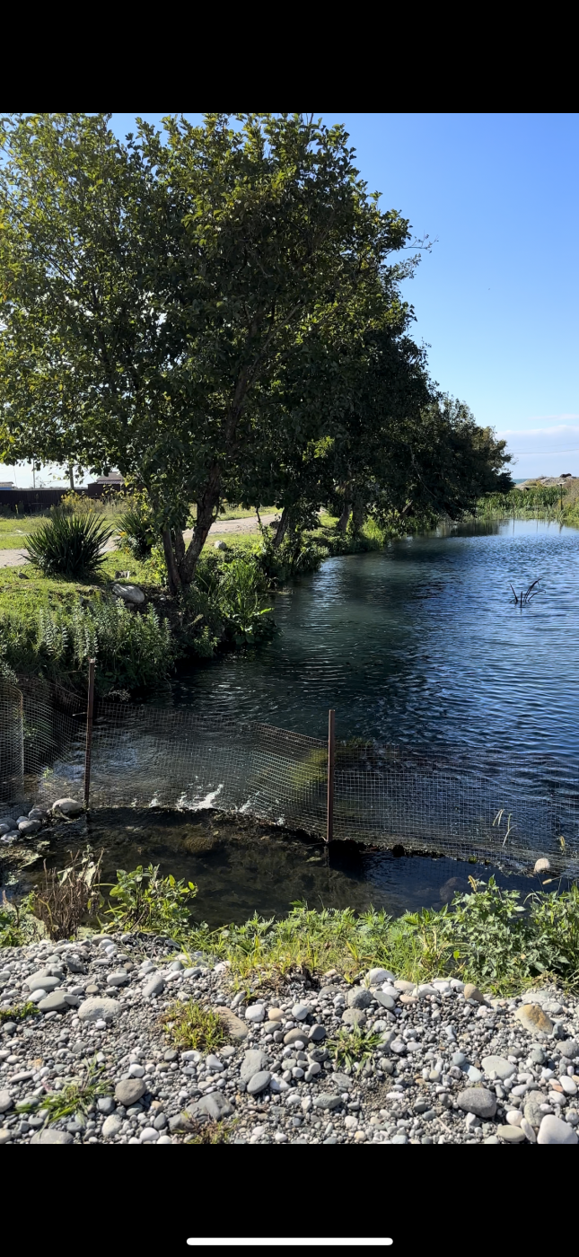. Гостиница «Язон». Пицунда