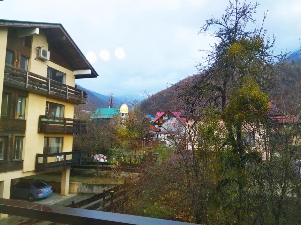 . Апарт-отель "Благодарный круглый год". Красная Поляна