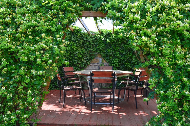 Отель «Дионис»