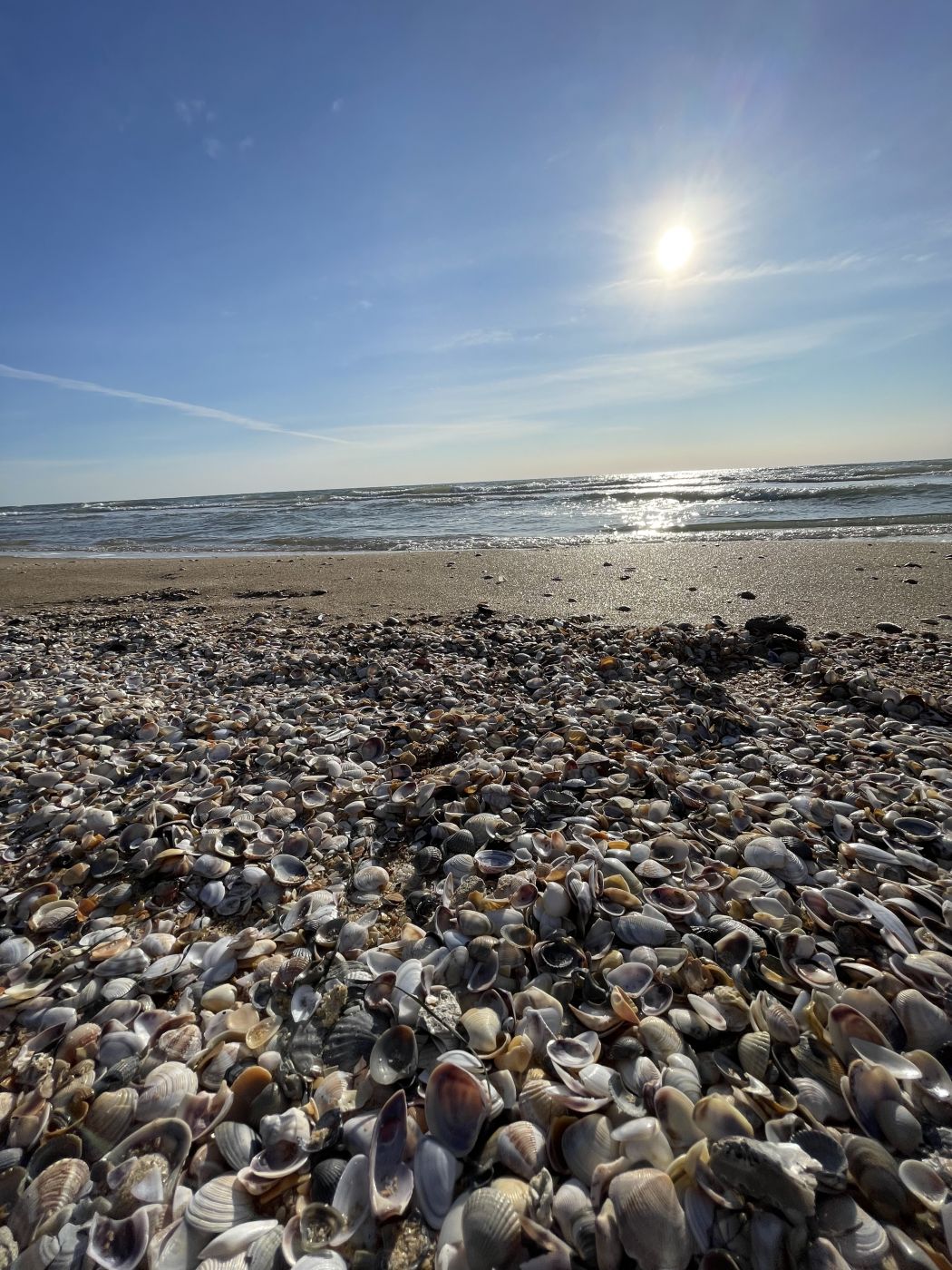 . Гостевой дом "Фламинго". Нижнее Джемете