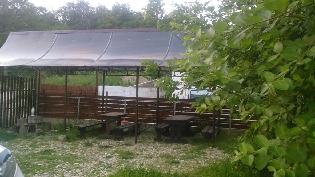 . Гостевой дом Дельфин - Новомихайловский. Новомихайловский