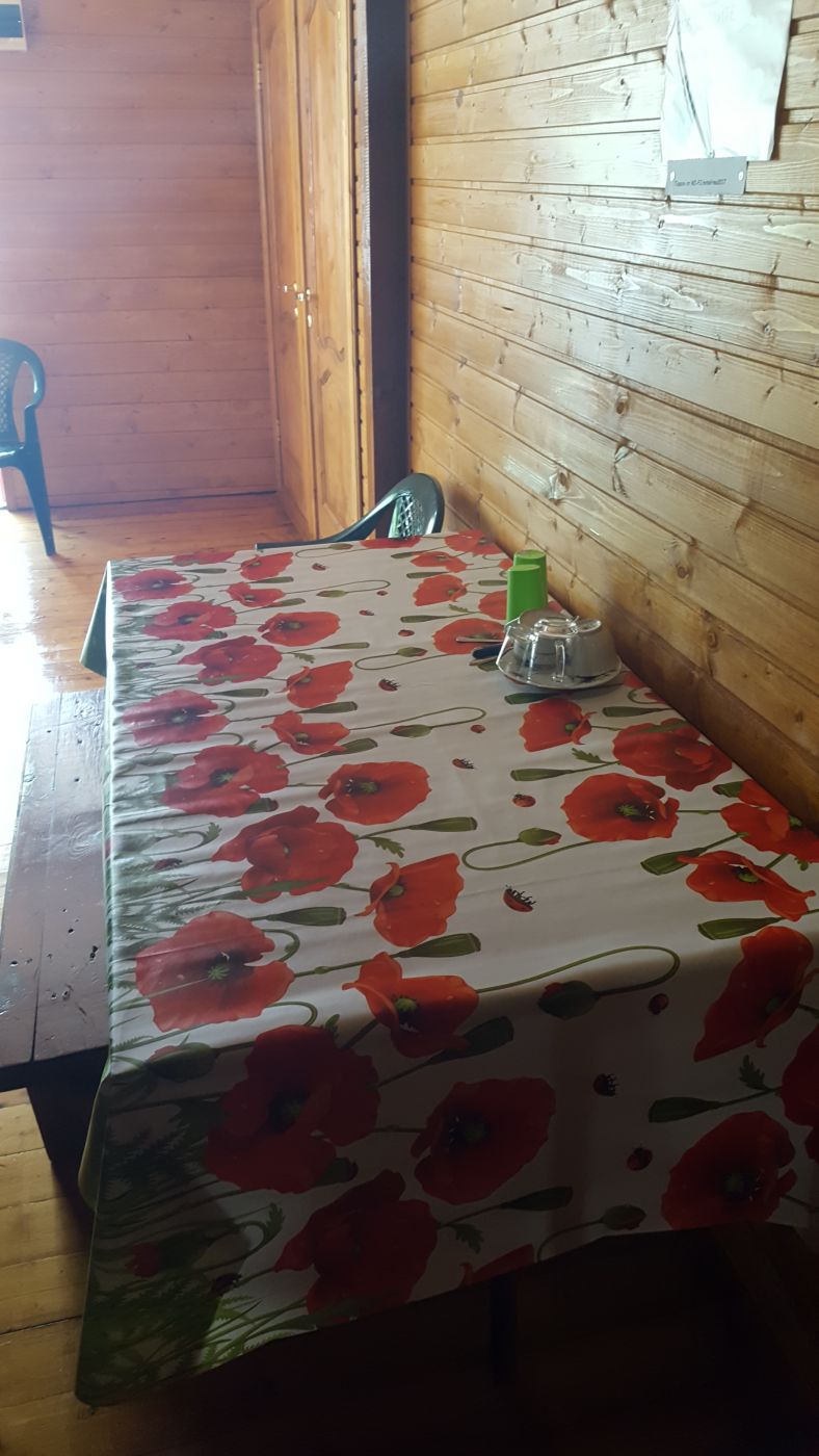 . Гостевой дом У Ирины. Пицунда