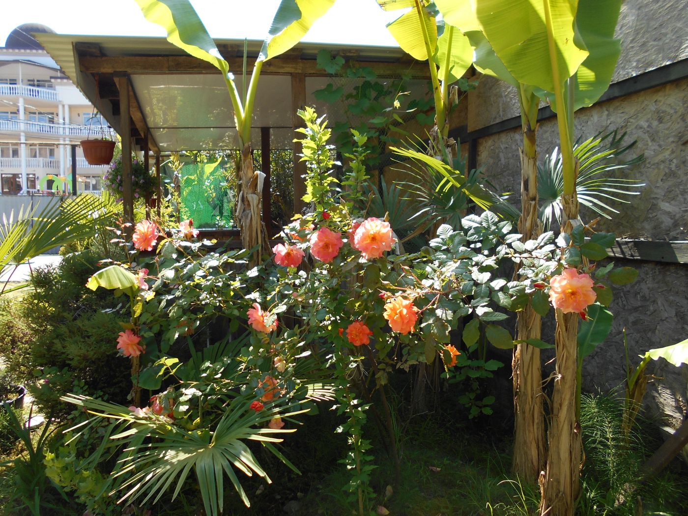 . Гостевой дом "На Главной". Якорная Щель