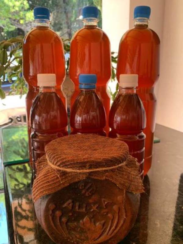 . Гостевой дом "Пицунда". Пицунда