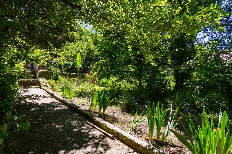 . Гостевой дом "Лесная прохлада". Туапсе