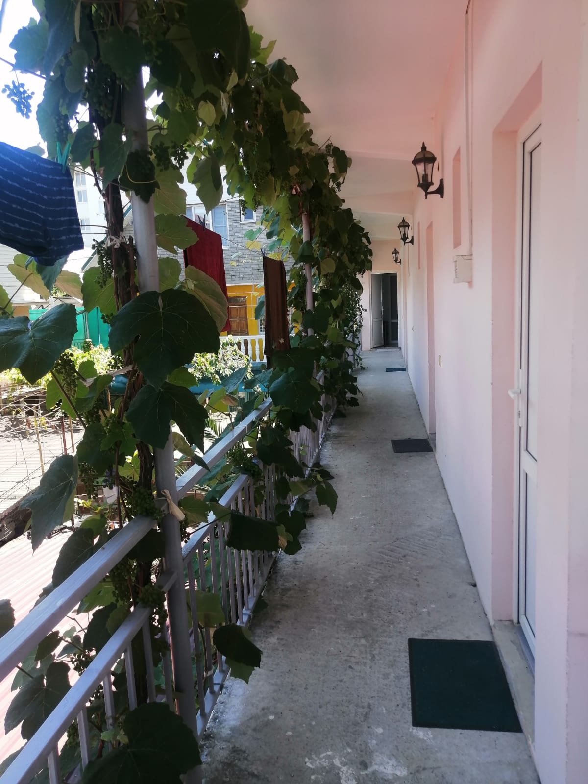 . Гостевой дом Лилия. Адлер