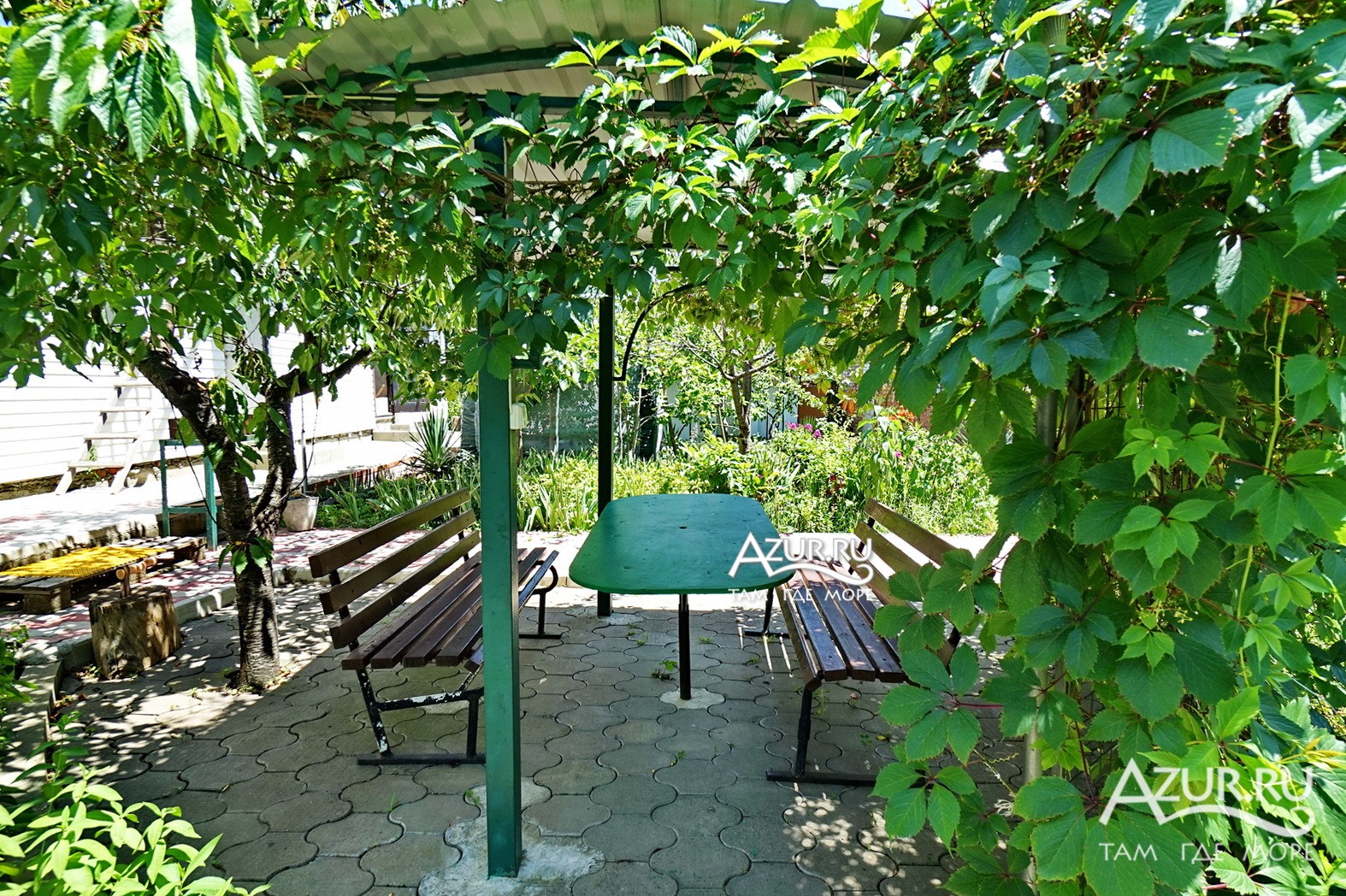 . Гостевой дом "У Светланы" в Ольгинке      . Ольгинка . Гостевой дом "У Светланы" в Ольгинке      . Ольгинка