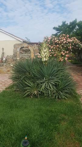 . Гостевой дом Есения. Заозерное