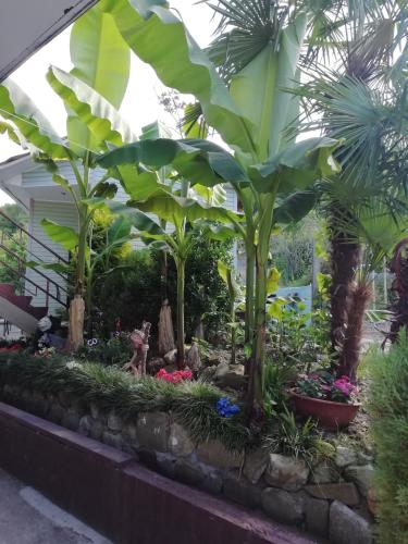 . Гостевой дом "Горный воздух". Вардане