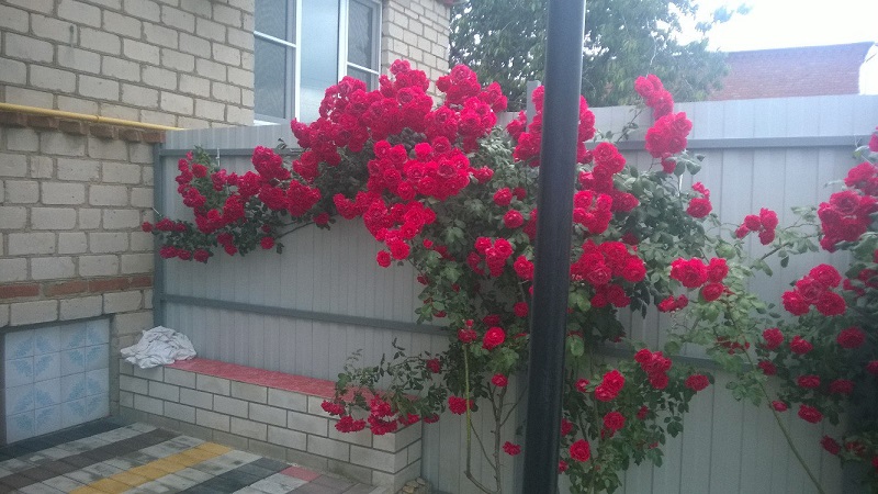 . Дом под ключ Зеленый 6/1. Кучугуры