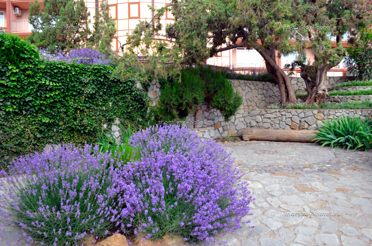 . Отель "Морской". Семидворье