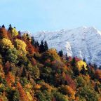 . Гостевой дом "Дача на Березовой". Красная Поляна