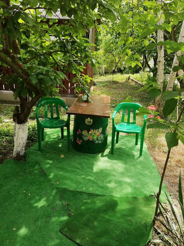 . Гостевой дом "Сибирячка". Ольгинка