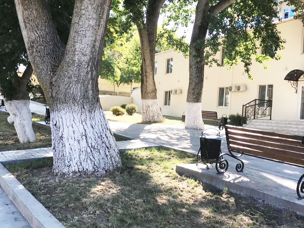 . Отель «Дионисий». Витязево