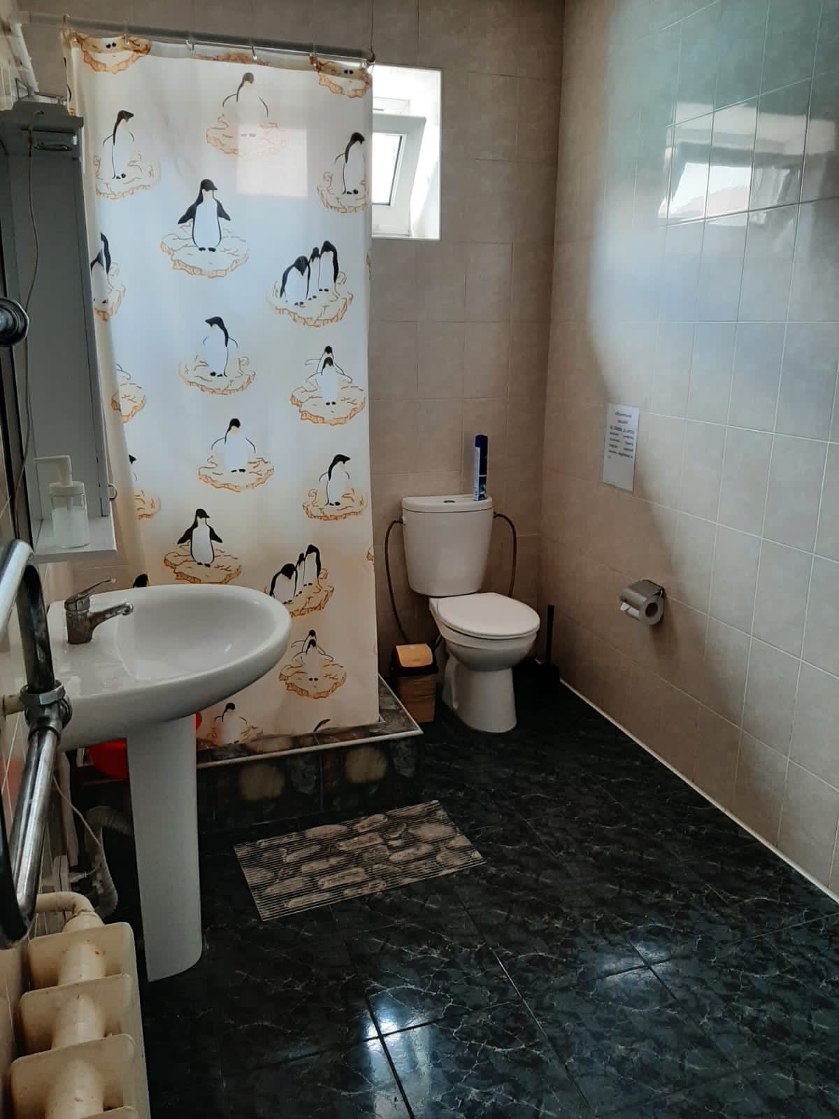 . Амиго. Геленджик