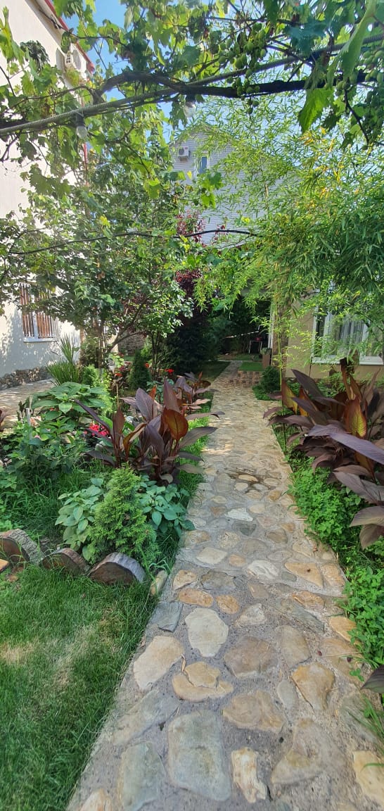 . Гостевой дом ОРИОН. Ольгинка . Гостевой дом ОРИОН. Ольгинка