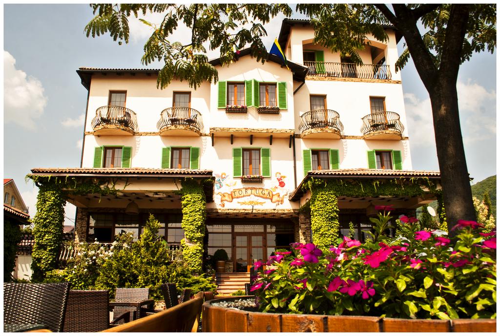 . Гостевой комплекс «TORTUGA». Небуг