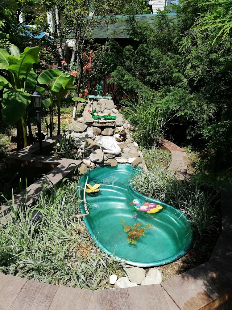 . Гостевой дом "Сибирячка". Ольгинка