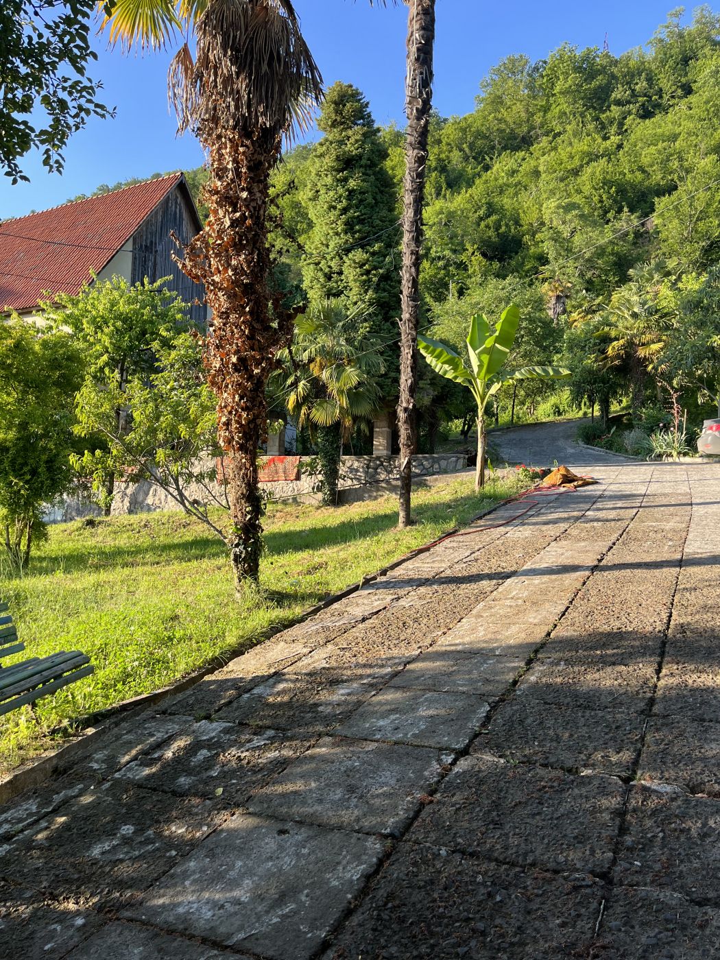 . Гостевой дом "Сосновый рай" . Гагра