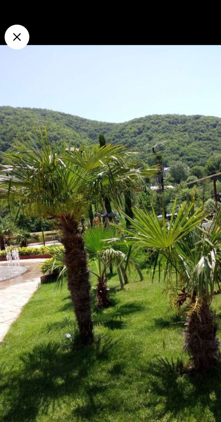 . Квартира в многоквартирном доме Sun Hills. Небуг