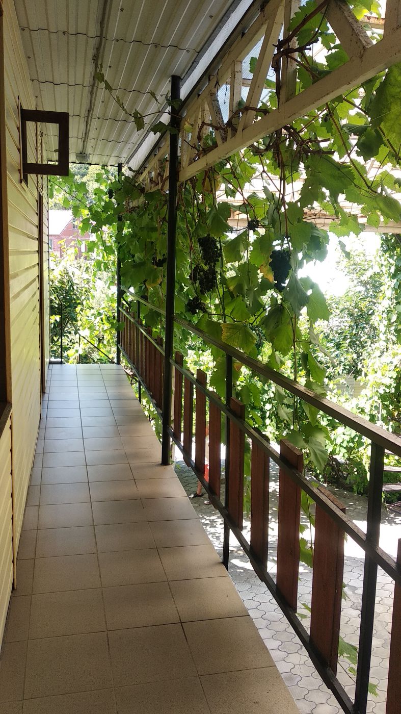 . Гостевой дом "Ростовский дворик". Ольгинка . Гостевой дом "Ростовский дворик". Ольгинка