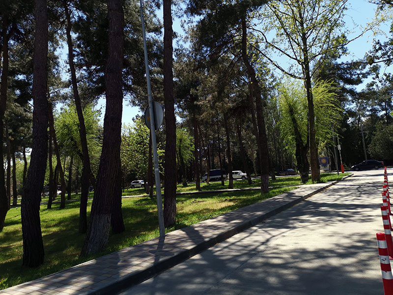 . Апарт-отель "Кавказ". Анапа