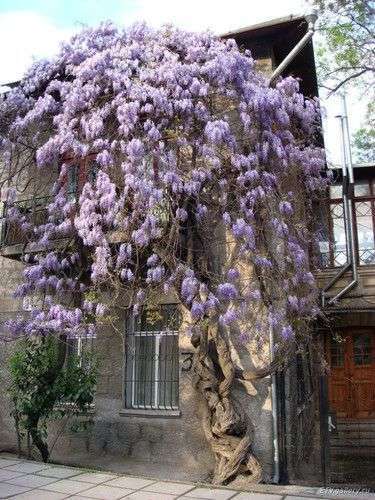. Частный сектор 2х комнатная квартира на набережной. Ялта