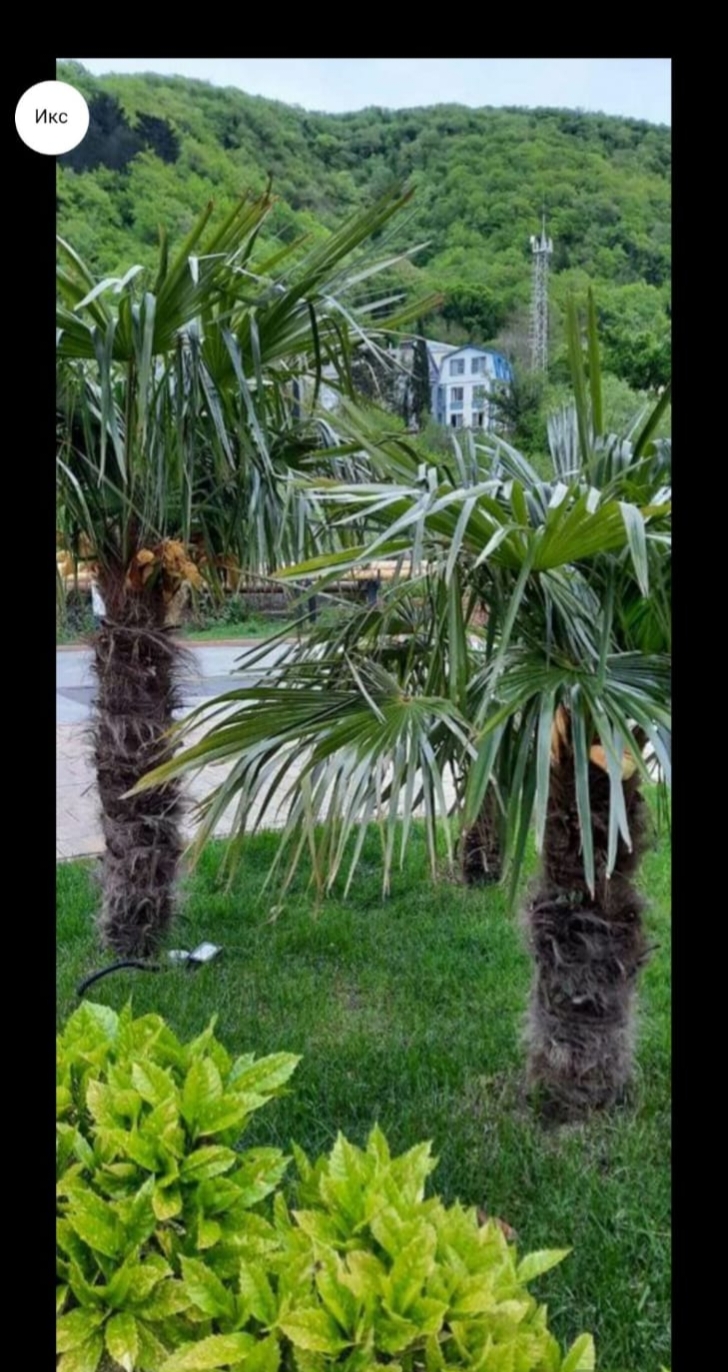 . Квартира в многоквартирном доме Sun Hills. Небуг