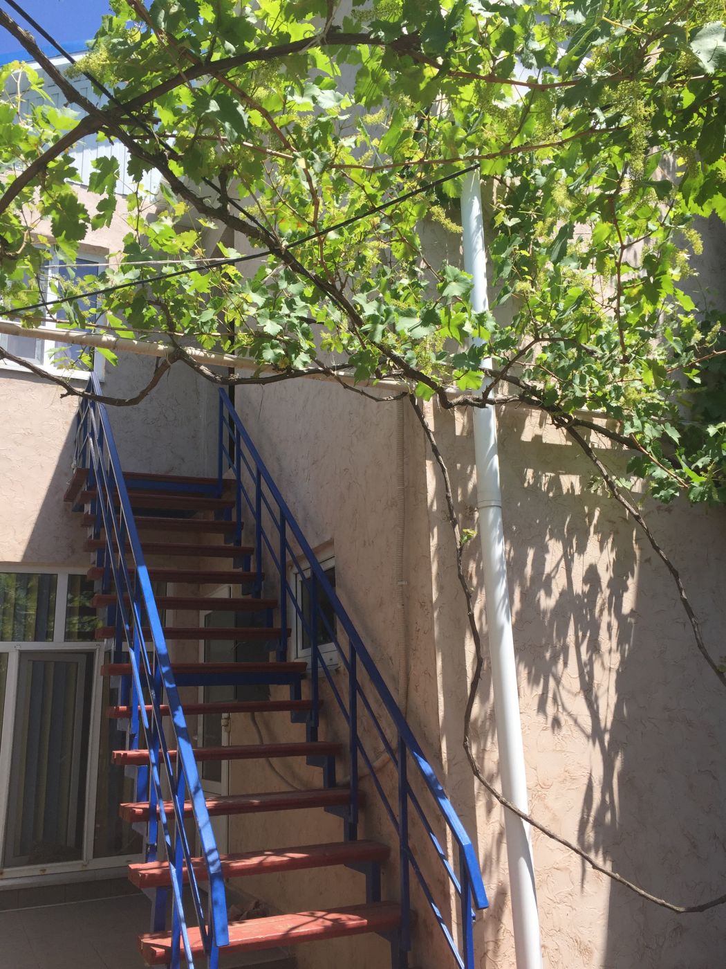 . Гостевой дом на Комарова 17. Витязево